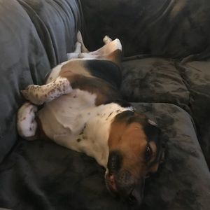 Meet your Posher, Angie